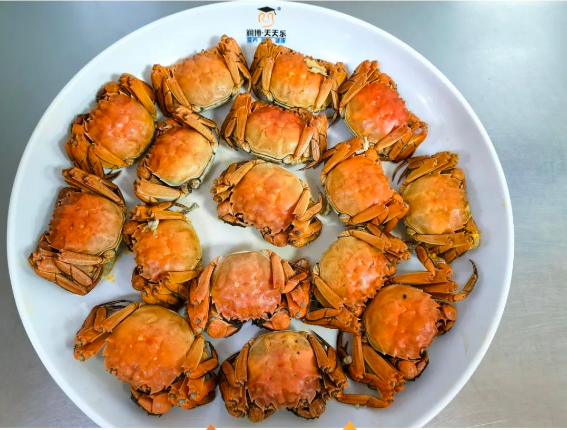 螃蟹季|不负期待 蟹逅美味