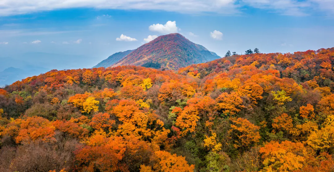 今日寒露（转载自人民日报）